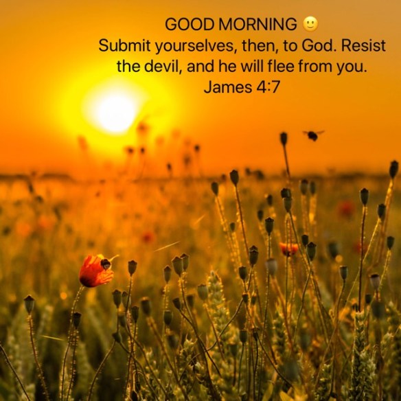 8B4EFDB8-2D8C-4716-BCEA-AD7F036E7A24