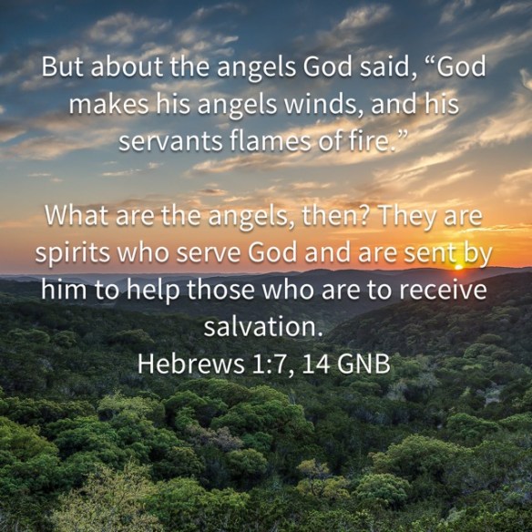 E80EAE08-983A-4849-9A68-0DD5ACCABBC1