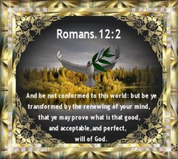 Transformation - Thin Within